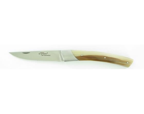 sabatier Compact Corne Chambriard - Thiers - 10138
