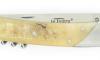 Thiers 11 cm CORNE de BELIER avec tire-bouchon 4