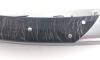 Thiers 11 cm Buffle Brut 5