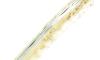 Le Thiers Coursolle 12 cm Bouleau Plein Manche 5