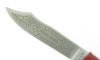 Douk Douk 160 Inox - Manche Acier couleur ROUGE - GAINE CUIR 3