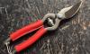 Sécateur de Jardin 18 cm - revêtement des branches en cuir ROUGE 2