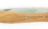 Crocus Olivier - 1 mitre 4