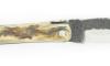 Laguiole 12 cm Croûte de Bélier - Plein Manche - Lame Brute de Forge 2