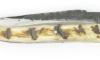 Laguiole 12 cm Croûte de Bélier - Plein Manche - Lame Brute de Forge 4