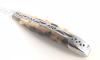 Laguiole 12 cm Cactus Ambre - 2 mitres 2
