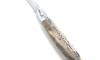 Laguiole 12 cm Cactus Ambre - 2 mitres 4
