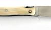 Design Beillonnet MOF - Laguiole 12 cm - Tire-bouchon - Corne Blonde 3