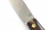 Design Beillonnet MOF - London - Corne Blonde - Guilloché 4