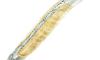 Laguiole 12 cm - Marronnier - Platines Guillochées - 2 mitres 5