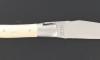 Laguiole 12 cm - Houx - 2 mitres 2