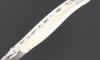 Laguiole 12 cm - Houx - 2 mitres 5
