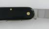 Couteaux 6 Pièces - Inox - Manche Corne 2